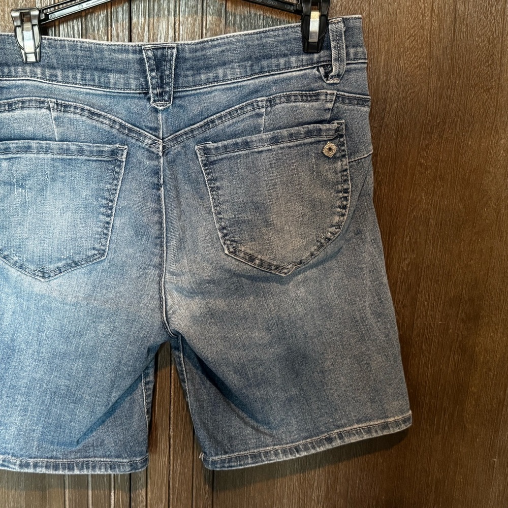 Democracy AB Solutions shorts